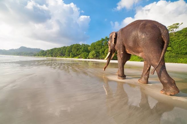 Andaman-int-3