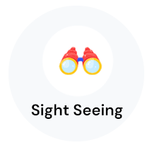 sight