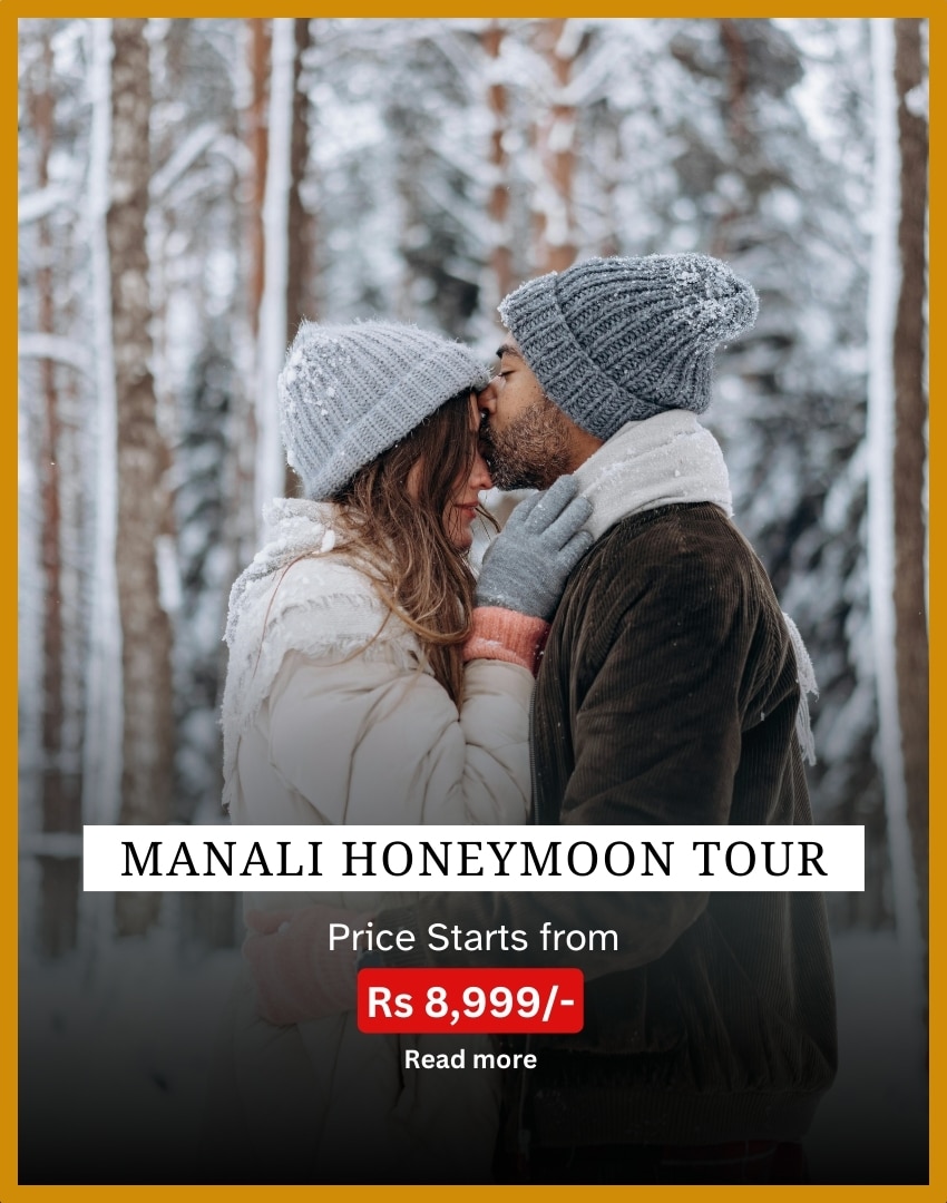 MANALI HONEYMOON TOUR